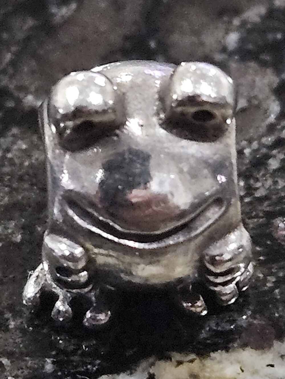 PANDORA Sterling Silver Frog Animal Bead 790247